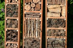 hmyzi_hotel_03