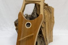 kinnor1_1